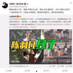 卓伟预告爆料视频下载安装,揭秘明星幕后故事，下载安装见证真相揭晓  第3张